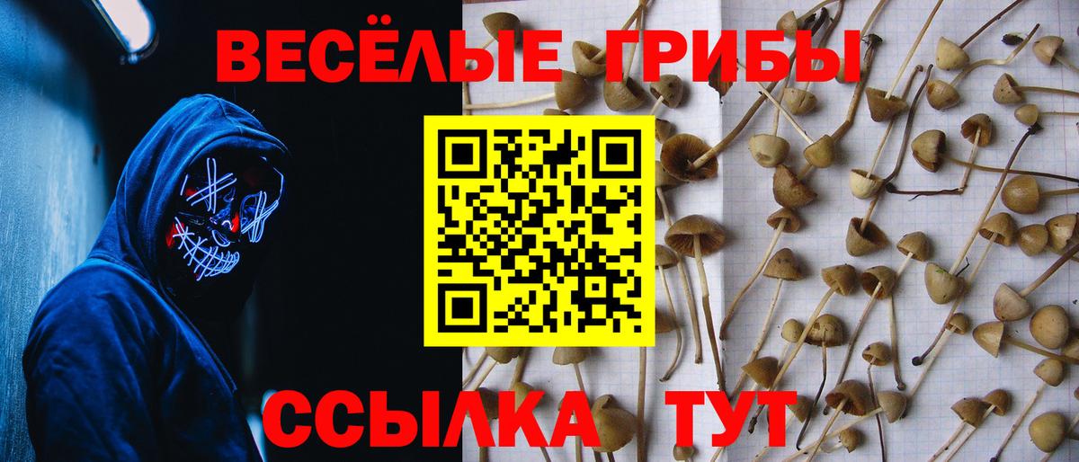 Галлюциногенные грибы MAGIC MUSHROOMS  Вход с VPN  Мценск  Псилоцибиновые грибы Magic Shrooms 